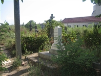 Click for large image