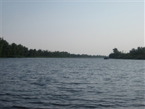 Click for large image