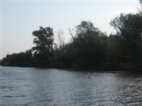 Click for large image