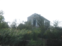 Click for large image