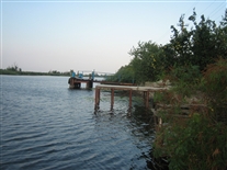 Click for large image