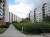 Flat_06_Small.jpg (144309 bytes)