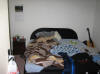 Flat_Inside_07_Small.JPG (84853 bytes)