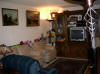 Apt_LivingRoom_01_Small_.JPG (136623 bytes)