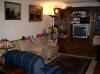 Apt_LivingRoom_06_Small_.JPG (132853 bytes)