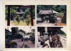 Web_Album_88_05_Trip_Japan_024.JPG (462843 bytes)